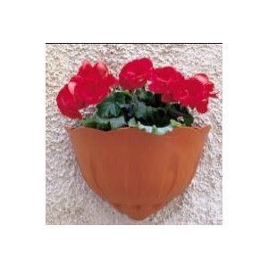 VASO PARETE GERLA NATURA...