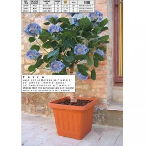 VASO QUADRATO 50x50...