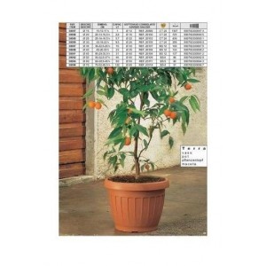 VASO TERRA MARRONE 15 30097...