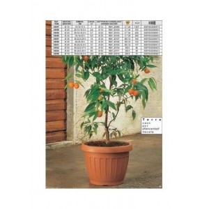 VASO TERRA MARRONE 25 30085...