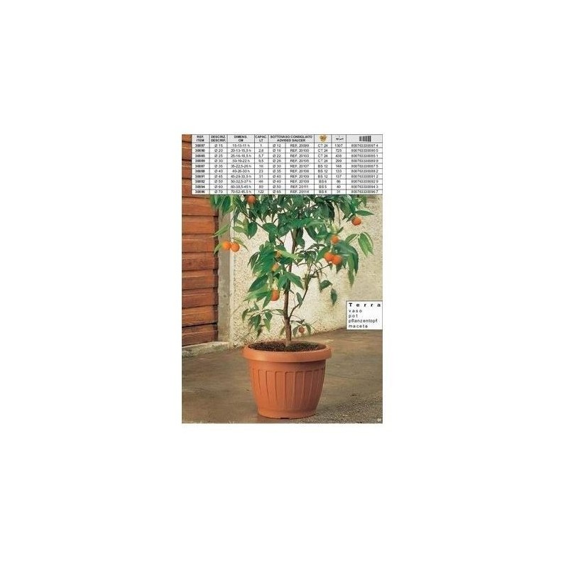 VASO TERRA MARRONE 30 30089 BAMA