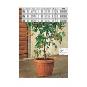 VASO TERRA MARRONE 60 30094...