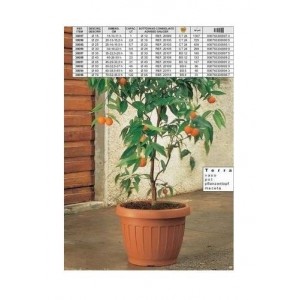 VASO TERRA MARRONE 70 30096...