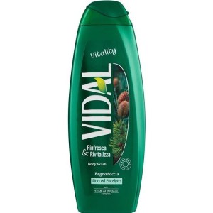 VIDAL BAGNOSCHIUMA PINO 500 ML