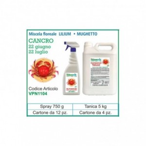 VERDEPIU PROFUMATORE SPRAY...