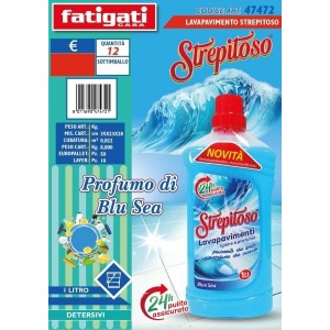 STREPITOSO LAVAPAVIMENTI...