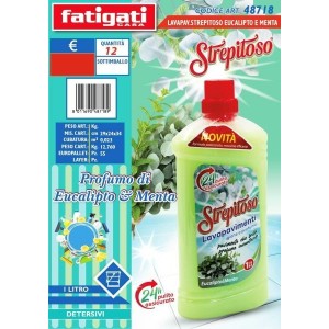 STREPITOSO LAVAPAVIMENTI...