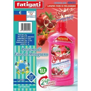 STREPITOSO LAVAPAVIMENTI...