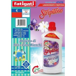 STREPITOSO LAVAPAVIMENTI...