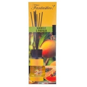 FANTASTICO PROF. AMB....