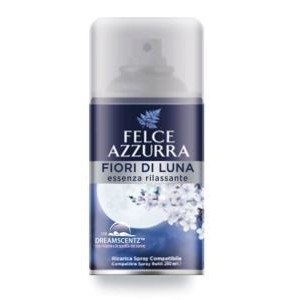 FELCE AZZURRA CASA DEO...