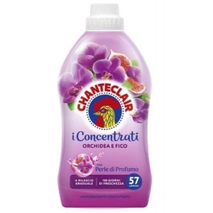 CHANTECLAIR AMM.CONC. 57...