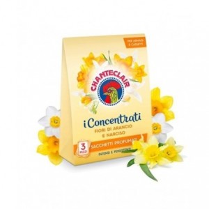 CHANTECLAIR SACCHETTI PROF....