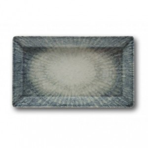 PIATTO SATURNIA SPACE RETT....