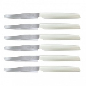 COLTELLO ACTIVE TAVOLA A/6...