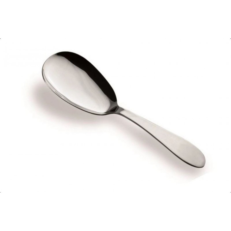 MESTOLAME CUCCHIAIONE RISO ACCIAIO GRAND HOTEL SALVINELLI