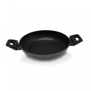 EVOLUTION INDUZIONE TEGAME...