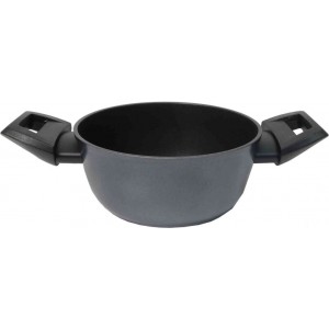 EVOLUTION INDUZIONE...