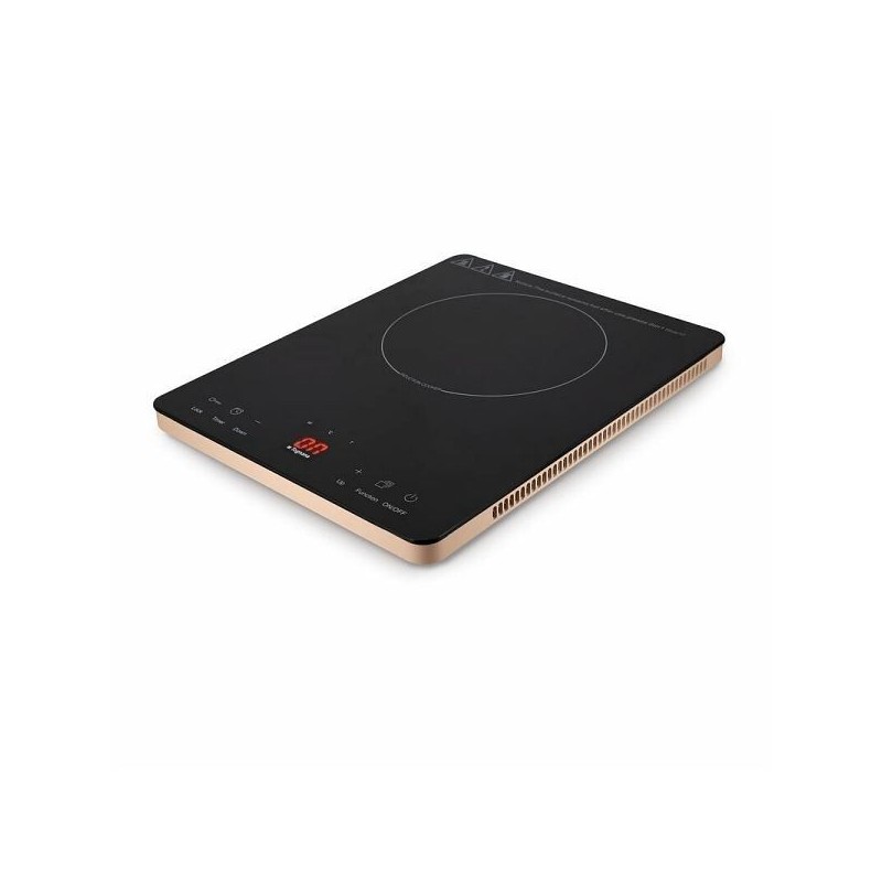 FORNELLO PIASTRA INDUZIONE IRIDEA CHAMPAGNE 2000W TOGNANA